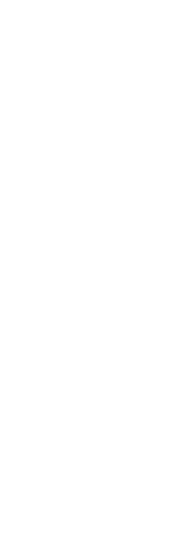 Center Image